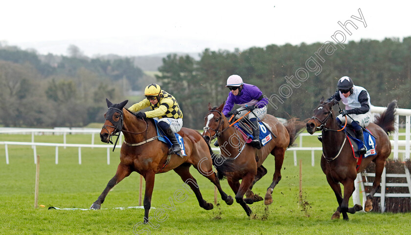 Salvator-Mundi-0003 
 SALVATOR MUNDI (Paul Townend) wins the Sky Bet Moscow Flyer Novice Hurdle
Punchestown 12 Jan 2025 - Pic Steven Cargill / Racingfotos.com