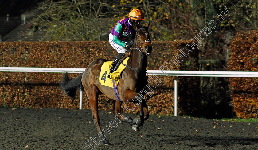 Illuzzi-0001 
 ILLUZZI (Tom Marquand)
Kempton 2 Dec 2020 - Pic Steven Cargill / Racingfotos.com