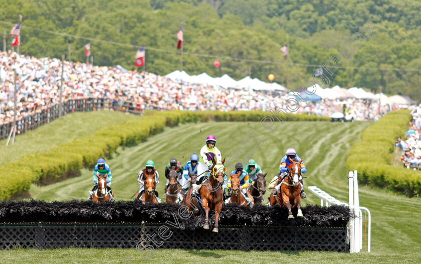 Orchestra-Leader-0003 
 ORCHESTRA LEADER (centre) leads the field in The Bright Hour Handicap Hurdle won by THREE KINGDOMS (2nd left) at Percy Warner Park, Nashville 12 May 2018 - Pic Steven Cargill / Racingfotos.com