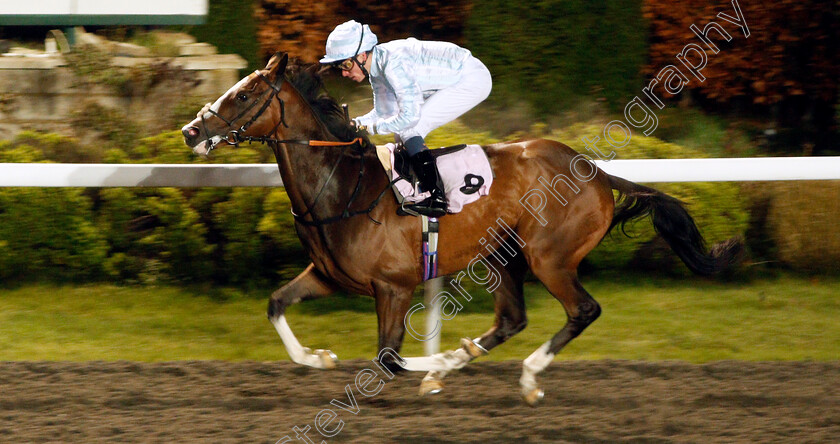 Lord-Halifax-0003 
 LORD HALIFAX (Kieran Shoemark) wins The 32Red Casino Handicap
Kempton 4 Dec 2019 - Pic Steven Cargill / Racingfotos.com