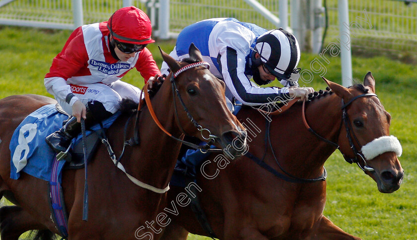 Raymond-0004 
 RAYMOND (right, Billy Garritty) beats SASHENKA (left, Hollie Doyle) in The Autohorn Handicap
York 13 May 2021 - Pic Steven Cargill / Racingfotos.com