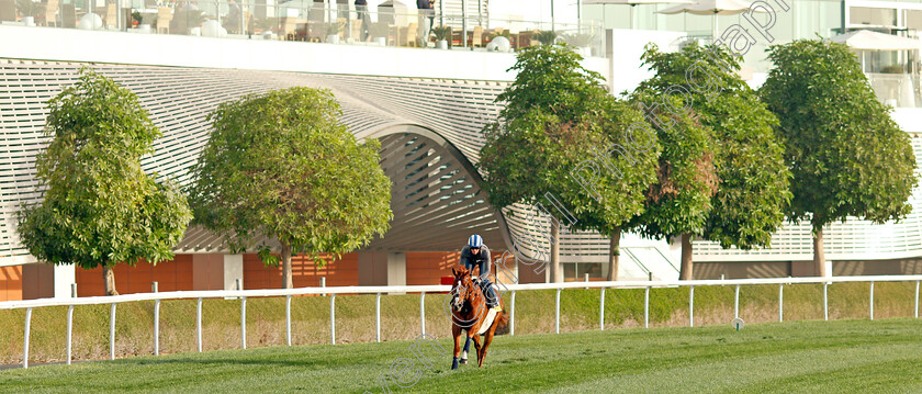 Mohaafeth-0003 
 MOHAAFETH (Jim Crowley) training for The Dubai Turf
Meydan, Dubai, 24 Mar 2022 - Pic Steven Cargill / Racingfotos.com