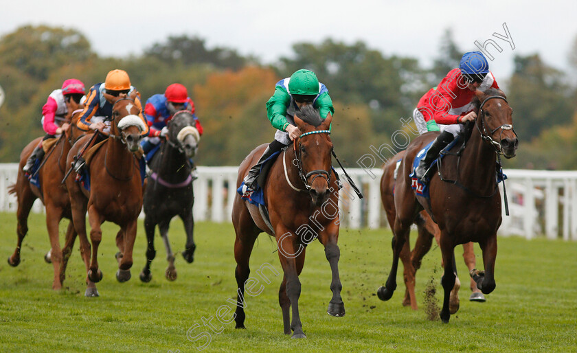 One-Master-0003 
 ONE MASTER (Martin Harley) wins The Totepool British EBF October Stakes Ascot 7 Oct 2017 - Pic Steven Cargill / Racingfotos.com