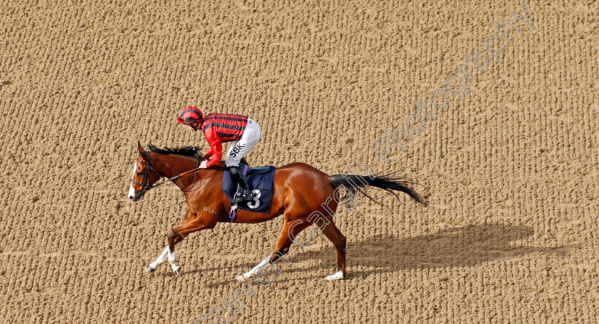 Hafeet-Alain 
 HAFEET ALAIN (Richard Kingscote)
Wolverhampton 12 Mar 2022 - Pic Steven Cargill / Racingfotos.com