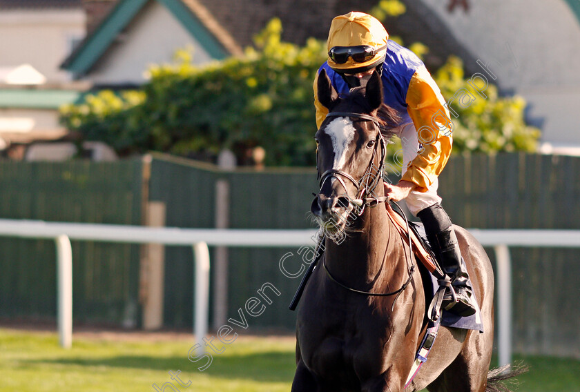 Ville-De-Grace-0002 
 VILLE DE GRACE (Ryan Moore)
Yarmouth 17 Sep 2020 - Pic Stevn Cargill / Racingfotos.com