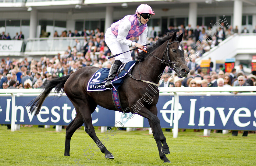 Blue-Gardenia-0001 
 BLUE GARDENIA (Jamie Spencer)
Epsom 31 May 2019 - Pic Steven Cargill / Racingfotos.com