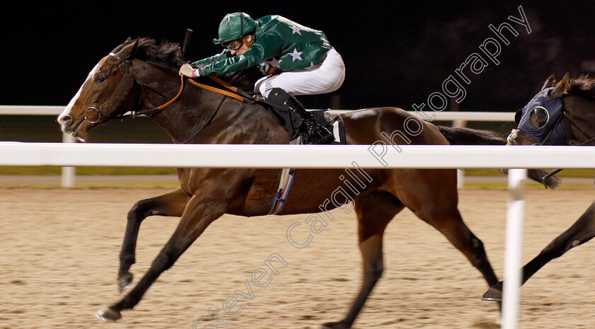 Affluence-0002 
 AFFLUENCE (Hector Crouch) wins The Christmas Party Nights Handicap
Chelmsford 19 Nov 2019 - Pic Steven Cargill / Racingfotos.com