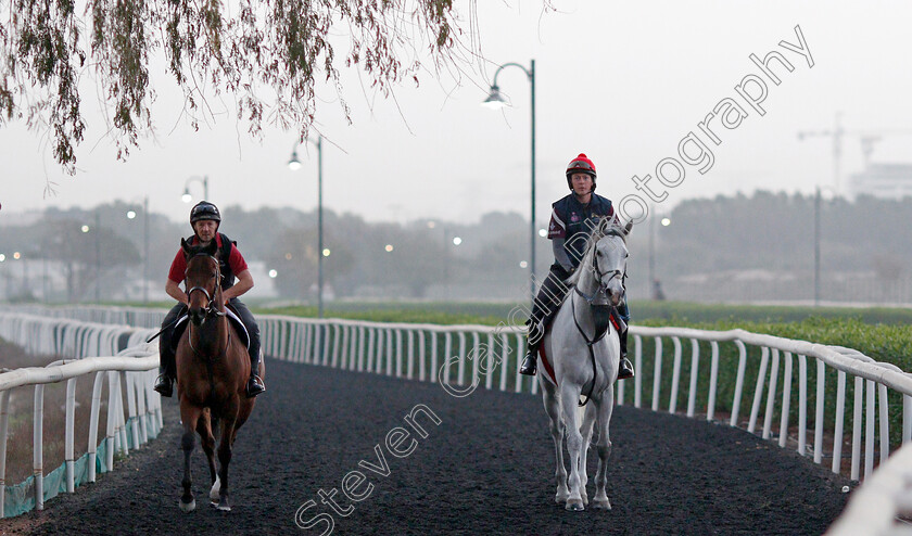 Lord-Glitters-0007 
 LORD GLITTERS training for The Dubai Turf
Meydan, Dubai, 24 Mar 2022 - Pic Steven Cargill / Racingfotos.com