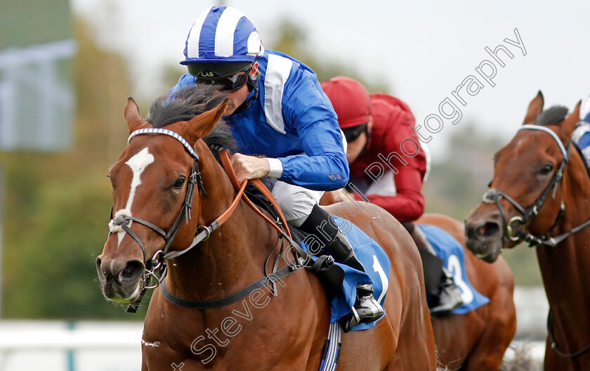 Amaan-0009 
 AMAAN (Dane O'Neill) wins The Dennis Hammill Memorial EBF Novice Stakes
Leicester 10 Sep 2019 - Pic Steven Cargill / Racingfotos.com