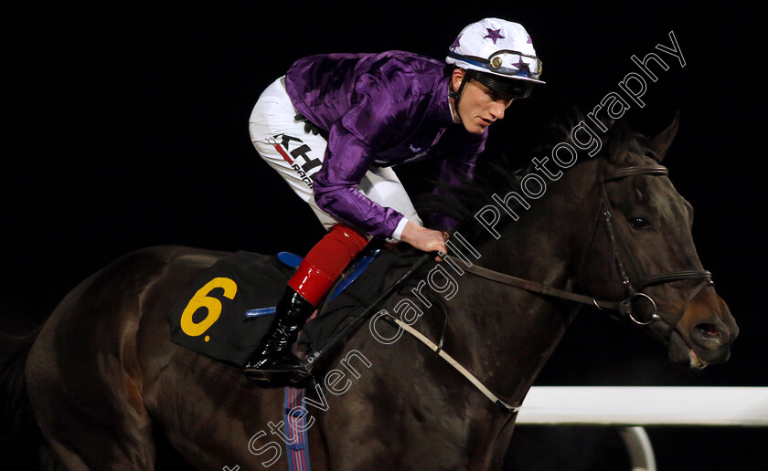 Elegant-Man-0004 
 ELEGANT MAN (David Egan)
Kempton 13 Dec 2023 - Pic Steven Cargill / Racingfotos.com