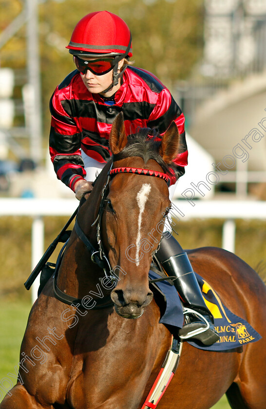 Quebello-0001 
 QUEBELLO (Anna Pilroth)
Bro Park, Sweden 15 Sep 2024 - Pic Steven Cargill / Racingfotos.com