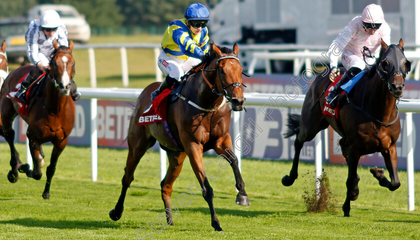 Trueshan-0008 
 TRUESHAN (Hollie Doyle) beats SWEET WILLIAM (right) in The Betfred Doncaster Cup
Doncaster 15 Sep 2023 - Pic Steven Cargill / Racingfotos.com