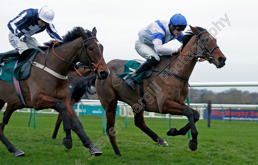 Hauraki-Gulf-0003 
 HAURAKI GULF (right, Gearoid Harney) beats GRAND KNIGHT (left) in The Davis Site Security Open National Hunt Flat Race
Warwick 9 Dec 2021 - Pic Steven Cargill / Racingfotos.com