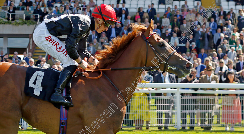 Montassib-0005 
 MONTASSIB (Tom Marquand) wins The William Hill Pick Your Places Handicap
Goodwood 20 May 2022 - Pic Steven Cargill / Racingfotos.com