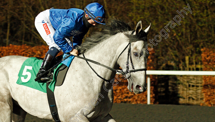 Highland-Avenue-0001 
 HIGHLAND AVENUE (Hollie Doyle) winner of The Road To The Kentucky Derby Conditions Stakes
Kempton 3 Mar 2021 - Pic Steven Cargill / Racingfotos.com