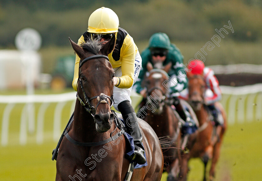 Myseven-0008 
 MYSEVEN (Pat Cosgrave) wins The Betway Novice Stakes
Lingfield 2 Sep 2020 - Pic Steven Cargill / Racingfotos.com