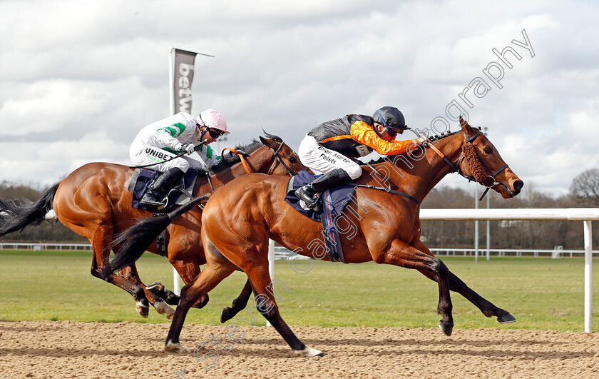 Whittle-Le-Woods-0005 
 WHITTLE LE WOODS (Theodore Ladd) wins The Betway Handicap
Wolverhampton 12 Mar 2022 - Pic Steven Cargill / Racingfotos.com