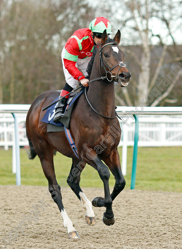 Cable-Speed-0001 
 CABLE SPEED (Ben Curtis) winner of The Ladbrokes Where The Nation Plays Novice Median Auction Stakes Div1
Lingfield 4 Jan 2020 - Pic Steven Cargill / Racingfotos.com