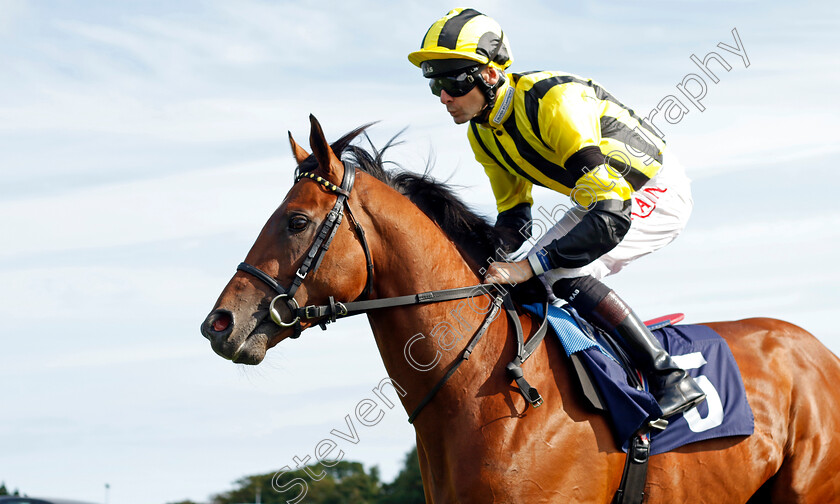 Obelix-0001 
 OBELIX (Robert Havlin)
Yarmouth 14 Sep 2022 - Pic Steven Cargill / Racingfotos.com