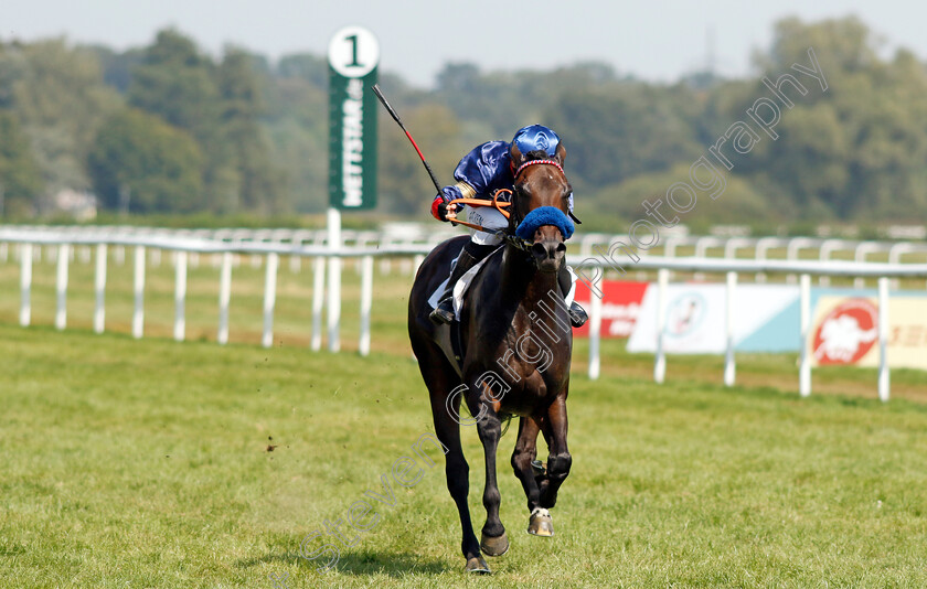 Penalty-0004 
 PENALTY (Thore Hammer-Hansen) wins The 91. Brunner-Oettingen Rennen
Baden Baden 1 Sep 2024 - Pic Steven Cargill / Racingfotos.com