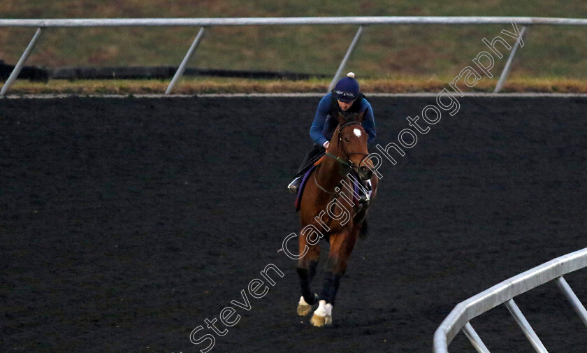 Highfield-Princess-0001 
 HIGHFIELD PRINCESS training for the Breeders' Cup Turf Sprint
Keeneland USA 1 Nov 2022 - Pic Steven Cargill / Racingfotos.com