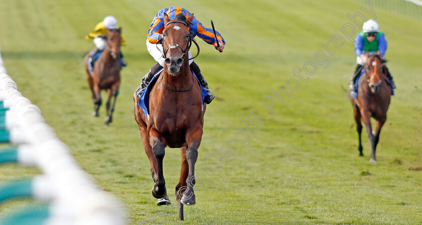 New-World-Tapestry-0005 
 NEW WORLD TAPESTRY (Ryan Moore) wins The Derrinstown Irish EBF Maiden Stakes
Newmarket 27 Sep 2019 - Pic Steven Cargill / Racingfotos.com