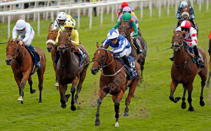 Winter-Power-0002 
 WINTER POWER (Silvestre de Sousa) wins The Coolmore Nunthorpe Stakes
York 20 Aug 2021 - Pic Steven Cargill / Racingfotos.com