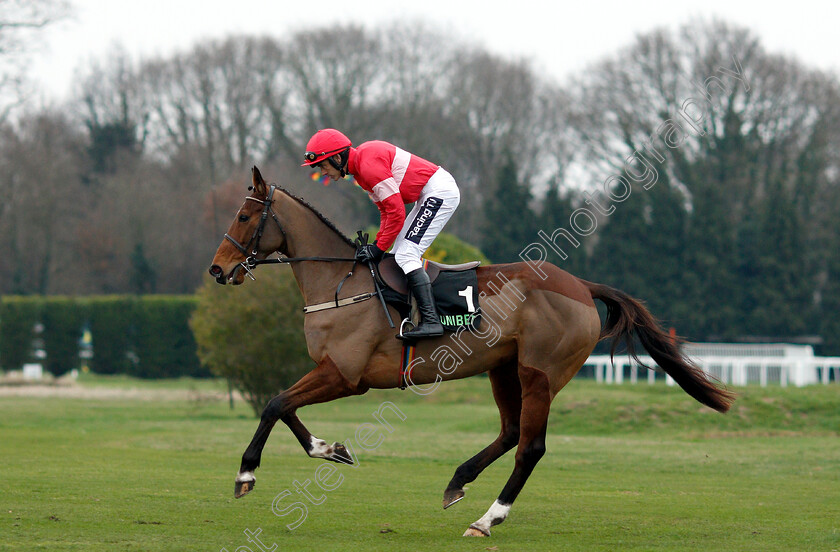 Laurina-0003 
 LAURINA (Ruby Walsh) winner of The Unibet Mares Hurdle
Sandown 5 Jan 2019 - Pic Steven Cargill / Racingfotos.com