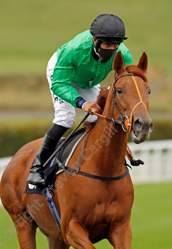 Anna-Nerium-0001 
 ANNA NERIUM (Sean Levey) before winning The Tote Foundation Stakes
Goodwood 23 Sep 2020 - Pic Steven Cargill / Racingfotos.com