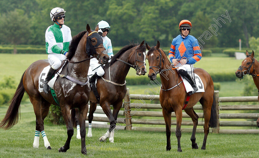 Stooshie-0001 
 STOOSHIE (right, Davy Russell) before finishing 2nd in the Bright Hour Handicap Hurdle
Percy Warner Park, Nashville Tennessee USA 11 May 2019 - Pic Steven Cargill / Racingfotos.com