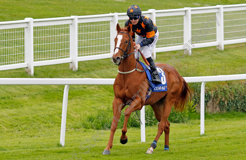 Dunnington-Lad 
 DUNNINGTON LAD (Pat Cosgrave)
Sandown 26 May 2022 - Pic Steven Cargill / Racingfotos.com