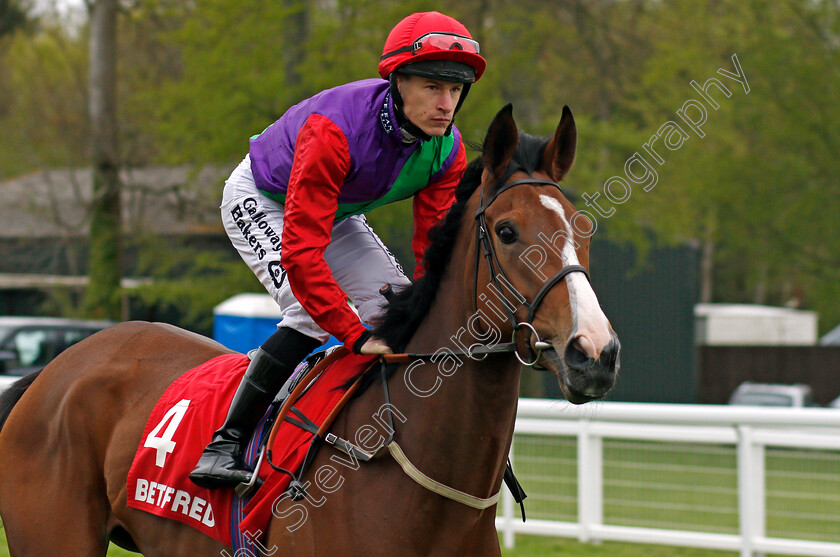 Mistress-Quickly-0001 
 MISTRESS QUICKLY (Richard Kingscote) Salisbury 29 Apr 2018 - Pic Steven Cargill / Racingfotos.com