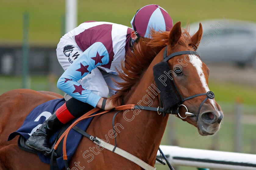 Stay-Classy-0008 
 STAY CLASSY (Angus Villiers) wins The Ladbrokes Home Of The Odds Boost Fillies Handicap
Lingfield 11 Dec 2019 - Pic Steven Cargill / Racingfotos.com