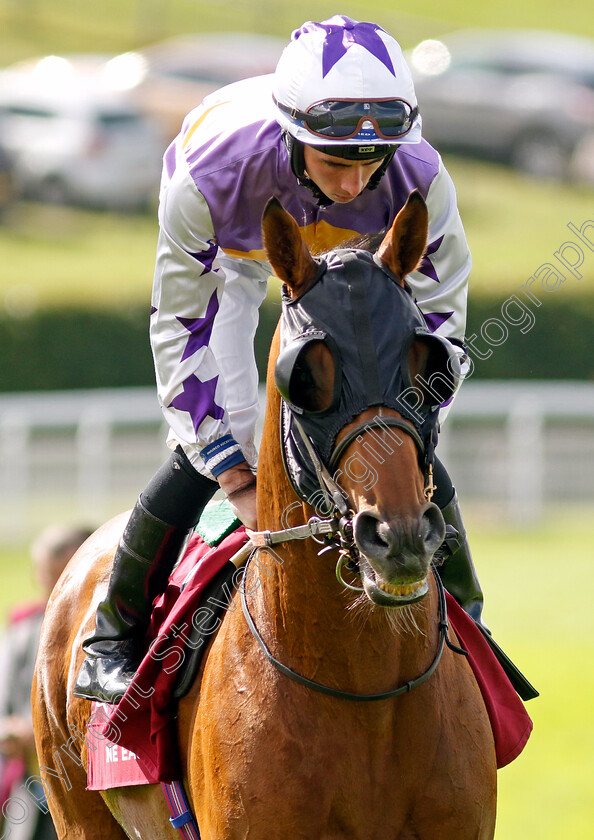 Lone-Eagle-0001 
 LONE EAGLE (Rossa Ryan)
Goodwood 1 Aug 2023 - Pic Steven Cargill / Racingfotos.com