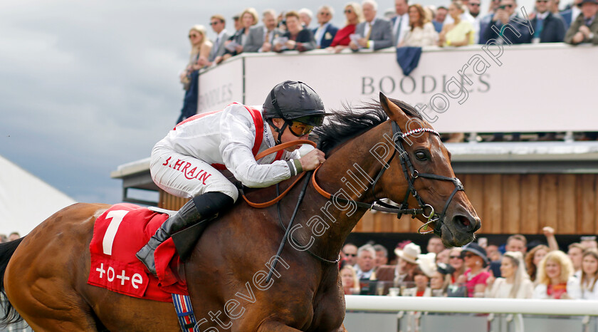 Hamish-0005 
 HAMISH (Tom Marquand) wins The tote.co.uk Ormonde Stakes
Chester 11 May 2023 - Pic Steven Cargill / Racingfotos.com