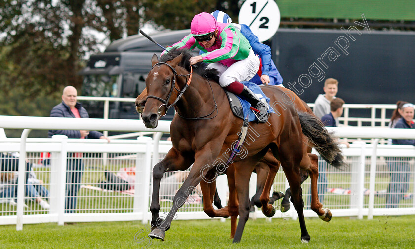 Good-American-0005 
 GOOD AMERICAN (Rob Hornby) wins The Bob McCreery Memorial British EBF Quidhampton Maiden Fillies Stakes
Salisbury 2 Sep 2021 - Pic Steven Cargill / Racingfotos.com