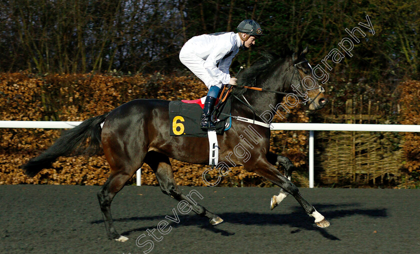 Lumination-0001 
 LUMINATION (Rob Hornby)
Kempton 6 Mar 2019 - Pic Steven Cargill / Racingfotos.com