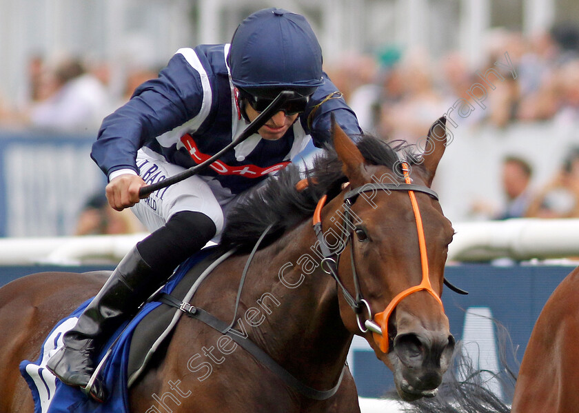 Trillium-0001 
 TRILLIUM (Pat Dobbs) wins The Coral Flying Childers Stakes
Doncaster 11 Sep 2022 - Pic Steven Cargill / Racingfotos.com