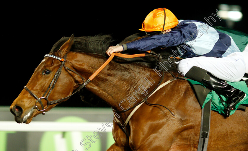 Madame-Tantzy-0007 
 MADAME TANTZY (Charles Bishop) wins The 32Red On The App Store Fillies Novice Stakes Div2
Kempton 23 Mar 2019 - Pic Steven Cargill / Racingfotos.com