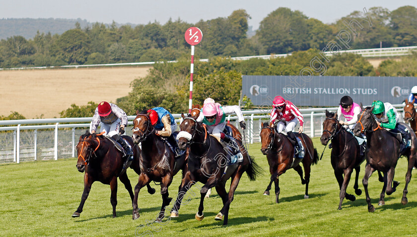 Jouncy-0005 
 JOUNCY (centre, Oisin Murphy) beats WHEELS OF FIRE (left) and CARRADOS (2nd left) in The British Stallion Studs EBF Maiden Stakes
Goodwood 30 Jul 2024 - Pic Steven Cargill / racingfotos.com