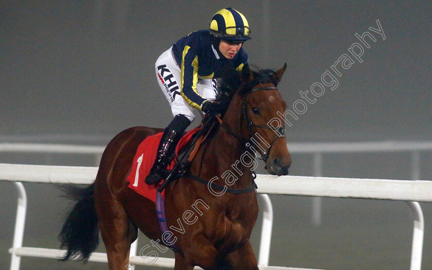 Balboa-0001 
 BALBOA (Saffie Osborne)
Kempton 16 Dec 2022 - Pic Steven Cargill / Racingfotos.com