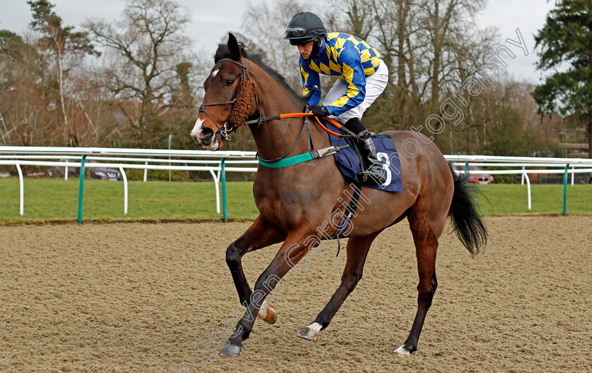 Reeceltic-0001 
 REECELTIC (Charlie Bennett)
Lingfield 19 Feb 2021 - Pic Steven Cargill / Racingfotos.com