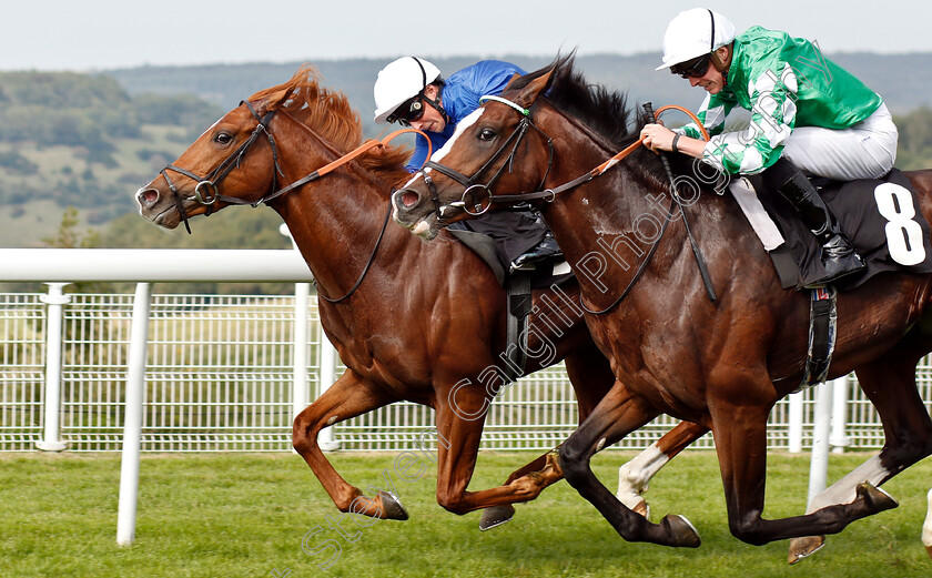 Line-Of-Duty-0005 
 LINE OF DUTY (William Buick) beats PABLO ESCOBARR (right) in The British EBF Peter WIllett Maiden Stakes
Goodwood 4 Sep 2018 - Pic Steven Cargill / Racingfotos.com