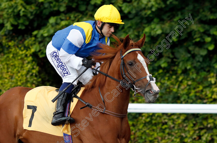 Logical-Lady-0001 
 LOGICAL LADY (Marco Ghiani)
Kempton 16 Jul 2024 - Pic Steven Cargill / Racingfotos.com