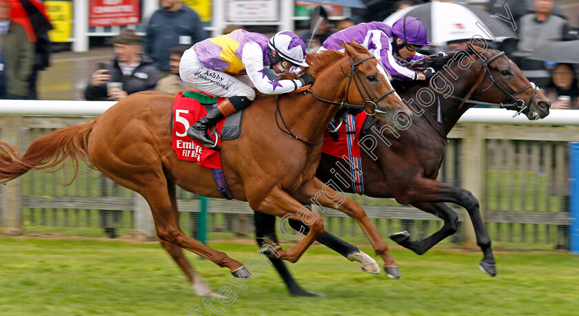 Delacroix-0001 
 DELACROIX (right, Ryan Moore) beats STANHOPE GARDENS (left) in the Emirates Autumn Stakes
Newmarket 12 Oct 2024 - Pic Steven Cargill / Racingfotos.com