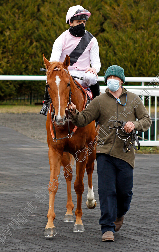 Apollo-One-0008 
 APOLLO ONE (Martin Harley) after The Get Your Ladbrokes Daily Odds Boost Spring Cup
Lingfield 6 Mar 2021 - Pic Steven Cargill / Racingfotos.com