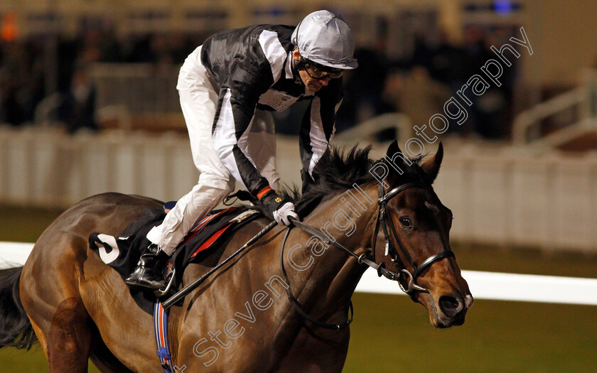 Mossketeer-0006 
 MOSSKETEER (Robert Havlin) wins The totescoop6 Magic Million This Saturday Nursery Chelmsford 16 Nov 2017 - Pic Steven Cargill / Racingfotos.com