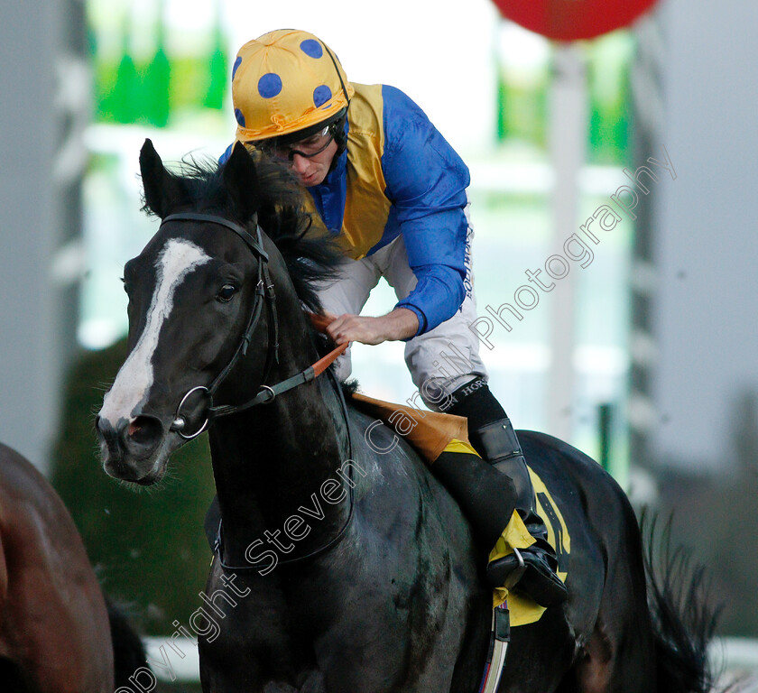 Ledham-0006 
 LEDHAM (Ryan Moore) wins The 32Red Handicap
Kempton 18 Sep 2018 - Pic Steven Cargill / Racingfotos.com