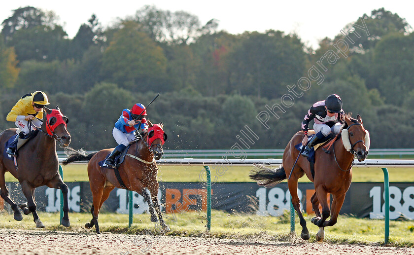 Entertaining-Ben-0001 
 ENTERTAINING BEN (Kieran Shoemark) wins The Fireworks Night At Lingfield Park Handicap Lingfield 5 Oct 2017 - Pic Steven Cargill / Racingfotos.com