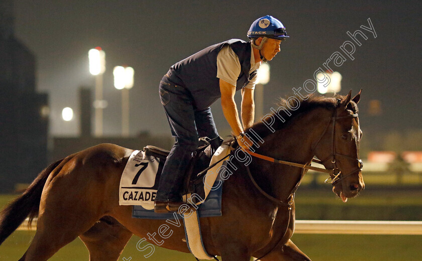 Cazadero-0001 
 CAZADERO training for the Al Quoz Sprint
Meydan, Dubai, 21 Mar 2023 - Pic Steven Cargill / Racingfotos.com